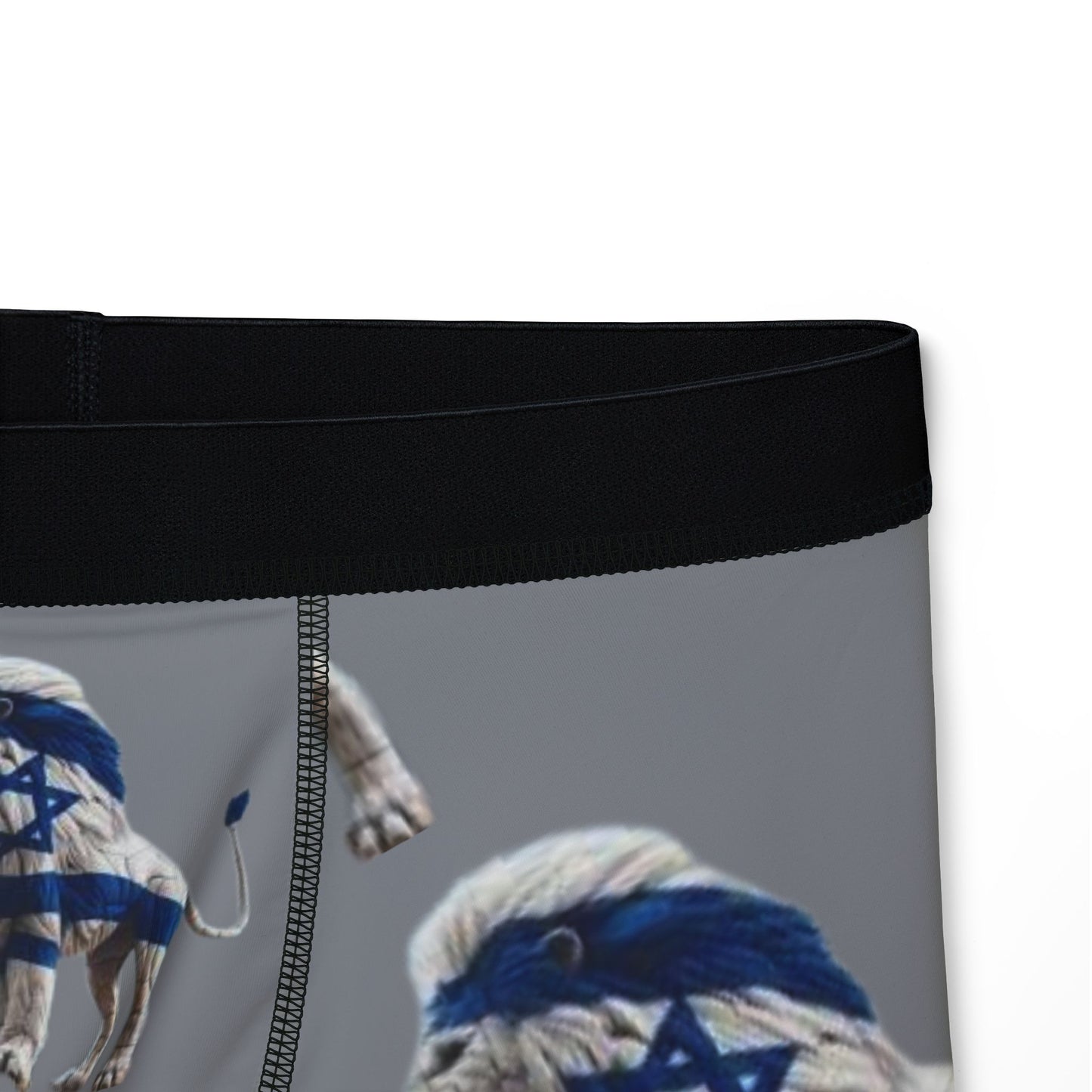 Zionist AF Lion Men's Boxer Briefs